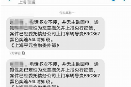 炎陵为什么选择专业追讨公司来处理您的债务纠纷？